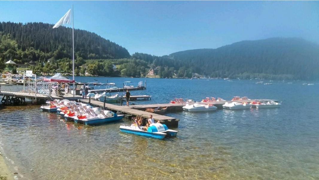 Apartament La Perle Au Bord De La Riviere Gérardmer Zewnętrze zdjęcie