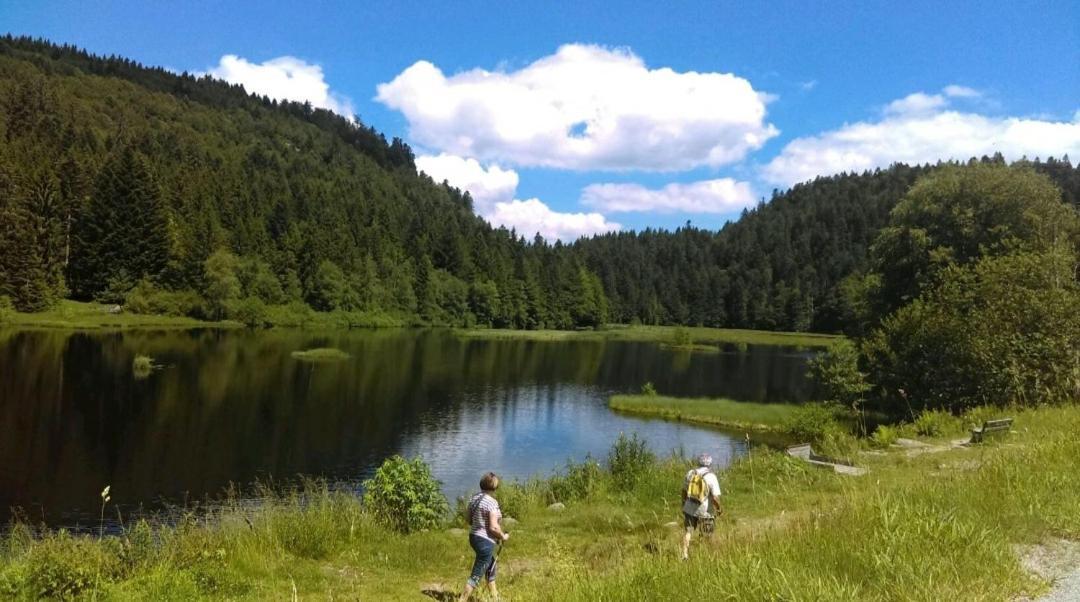 Apartament La Perle Au Bord De La Riviere Gérardmer Zewnętrze zdjęcie