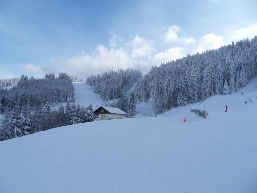 Apartament La Perle Au Bord De La Riviere Gérardmer Zewnętrze zdjęcie