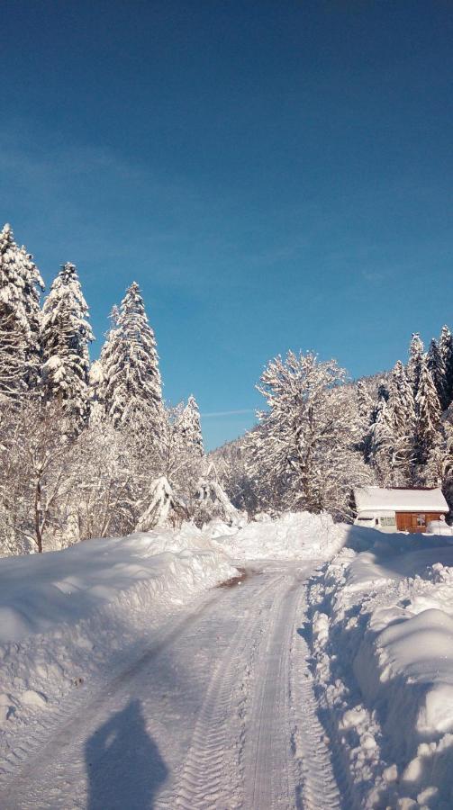 Apartament La Perle Au Bord De La Riviere Gérardmer Zewnętrze zdjęcie