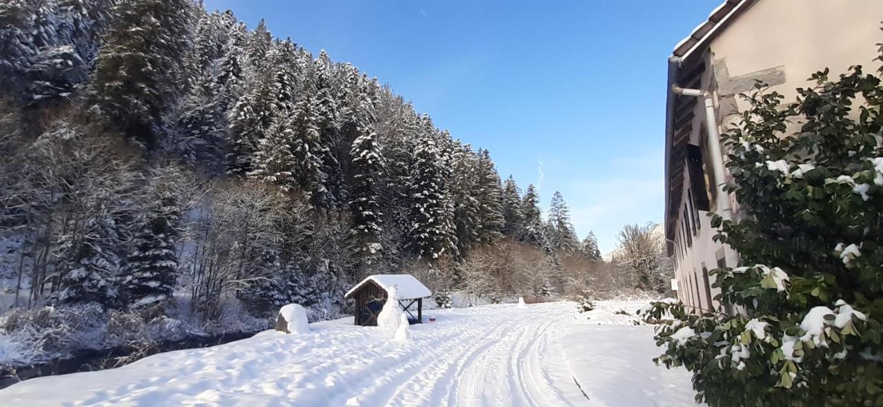 Apartament La Perle Au Bord De La Riviere Gérardmer Zewnętrze zdjęcie