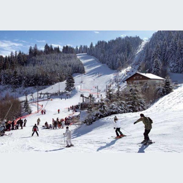 Apartament La Perle Au Bord De La Riviere Gérardmer Zewnętrze zdjęcie