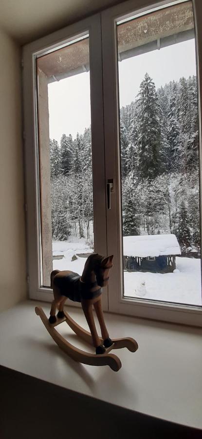Apartament La Perle Au Bord De La Riviere Gérardmer Zewnętrze zdjęcie